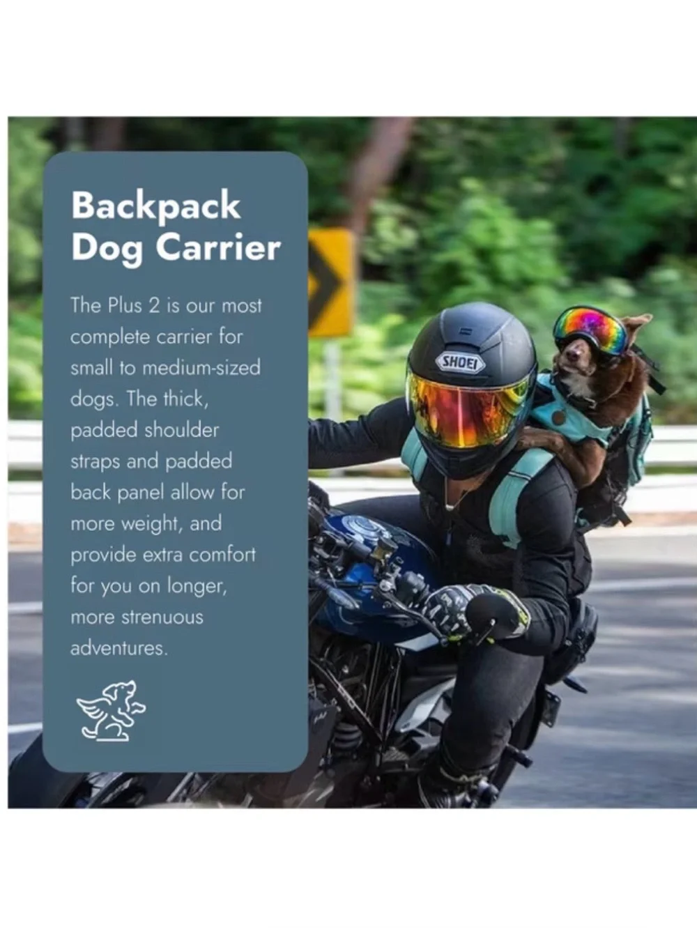 K9 Sport Sack Plus 2 Forward Facing Dog Carrier Backpack, Mint, Small
